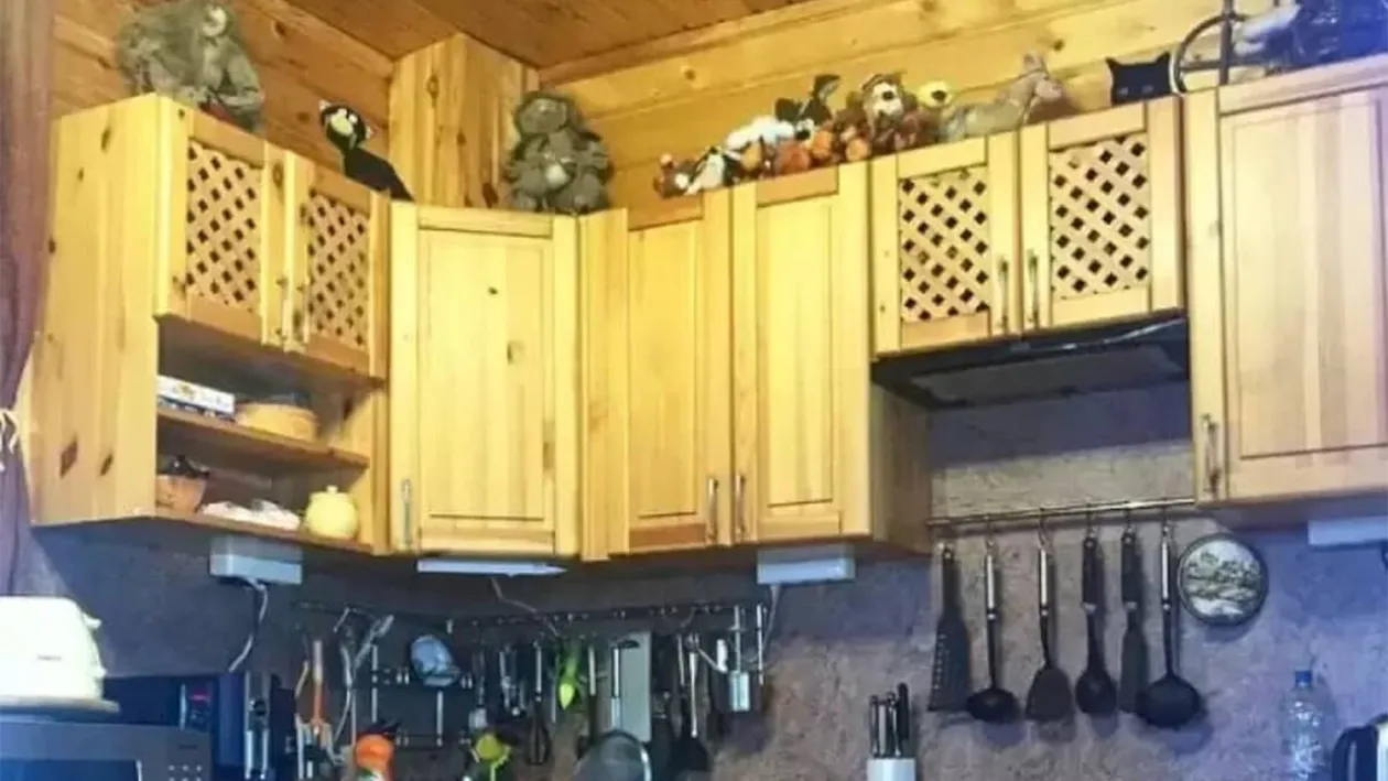 Iluzie optică virală | Găsiți pisica ascunsă în bucătărie!