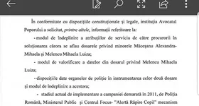 Galerie foto - poza 2