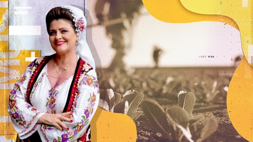Povestea neștiută a Stelianei Sima. La ce excelează îndrăgita interpretă, în afară de cântecul popular?!