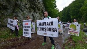 Protest în inima Parcului Național Domogled pentru a expune cea mai mare criză de mediu din Europa