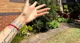 Galerie foto - poza 2