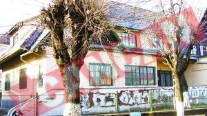 Motii au o soparla de aur de 2.700.000 Euro