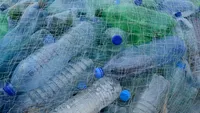 Atenție! Câți bani poți primi dacă vei aduna 10 sticle de plastic. Ministrul Mediului a făcut anunțul