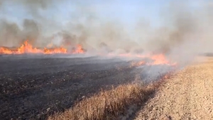 Incendiu de vegetație violent în Argeș, în apropiere de Autostrada A1. Focul amenință două hale industriale - VIDEO