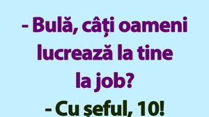 BANC | "Bulă, câți oameni lucrează la tine la job?"