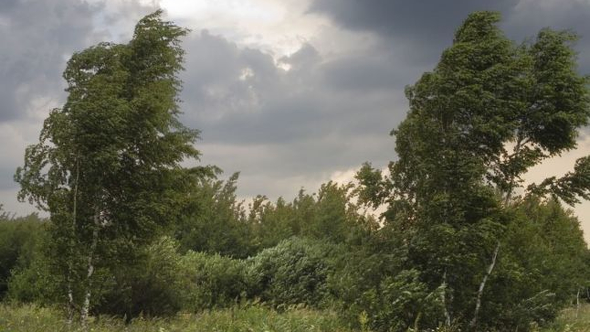 METEO 7 NOIEMBRIE! Înnorările vor persista în toată ţara