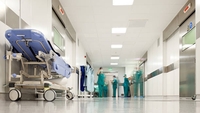 Ploșnițe într-un spital din România! Ministrul Sănătăţii trimite Inspecţia Sanitară în control