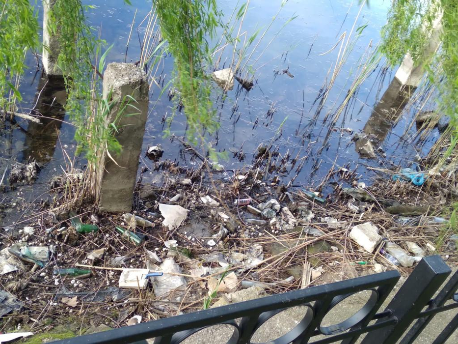 O pasăre și-a făcut cuib printre gunoaiele din Parcul Pantelimon (Foto: Facebook-ești din sectorul 2)