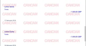 Galerie foto - poza 2