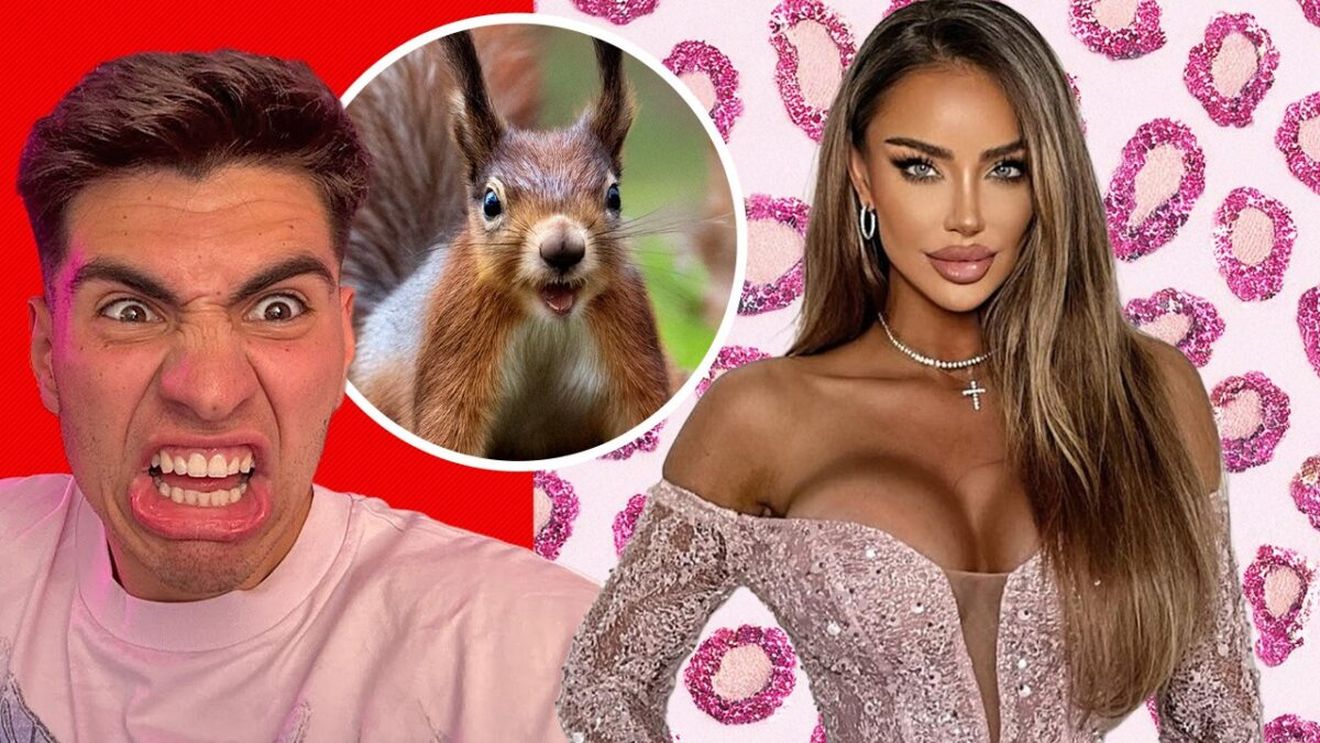 Am găsit „animalul spiritual” al fiecărei vedete. Și culmea li se potrivește PERFECT! Bisoi, veverița hiperactivă sau Bianca, leopardul roz cu paiete | EXCLUSIV