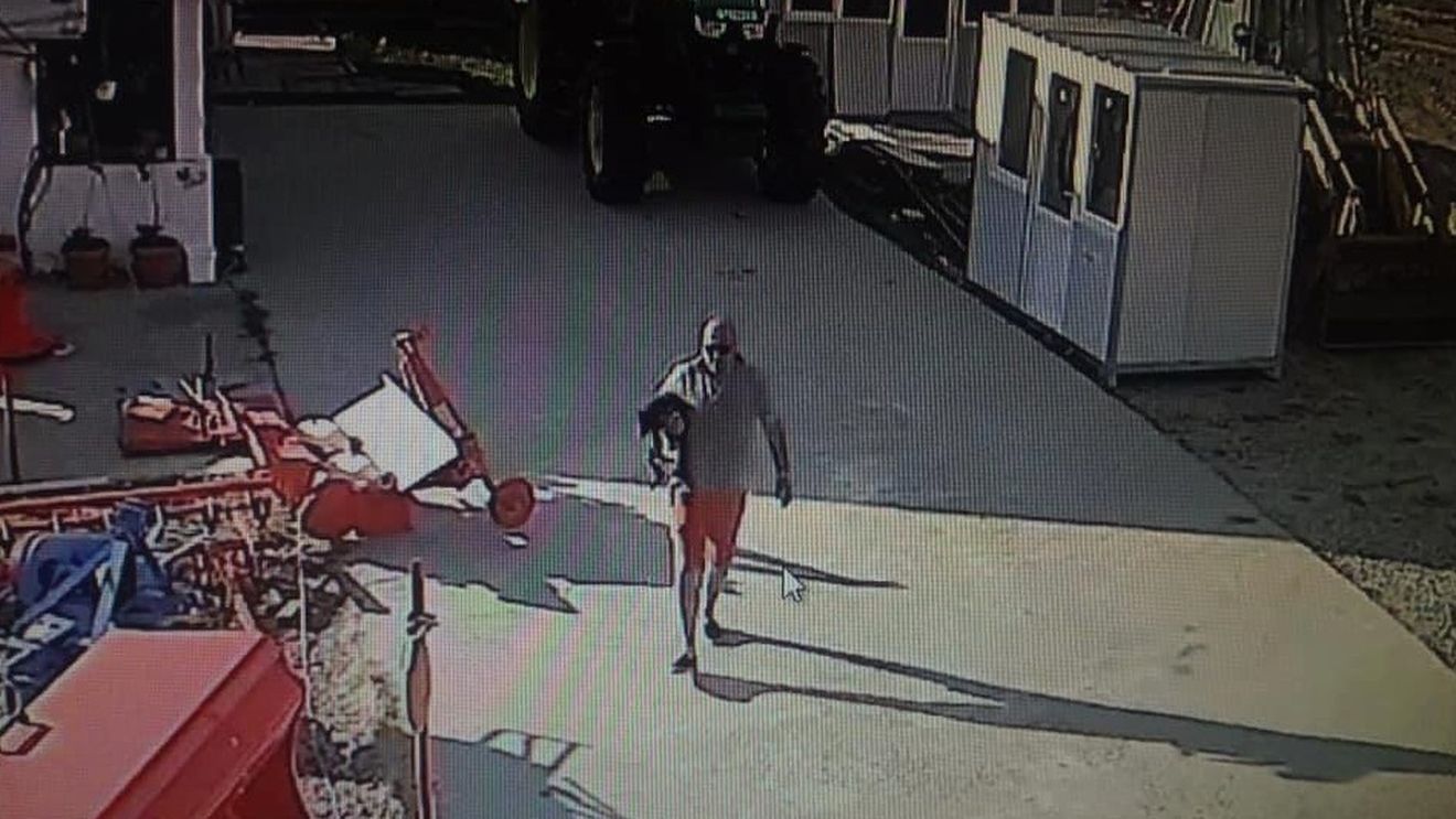 Au furat câinele unei familii din Pielești, Dolj, dar au uitat de camerele de supraveghere. Păgubitul speră ca hoții să fie recunoscuți
