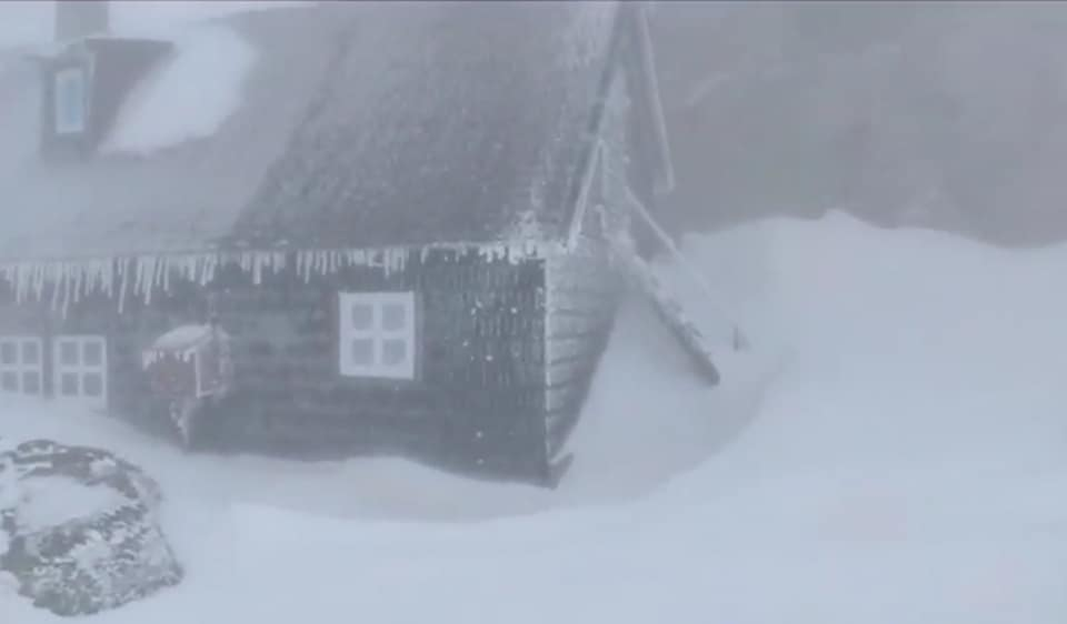 Sunt imaginile care-ți vor da fiori! Ninsori și viscol în România VIDEO + GALERIE FOTO