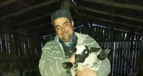 Galerie foto - poza 2