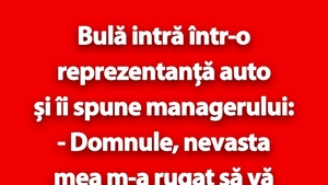 BANC | Bulă intră într-o reprezentanță auto