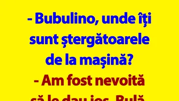 BANC | Bulă și ștergătoarele de la mașina Bubulinei
