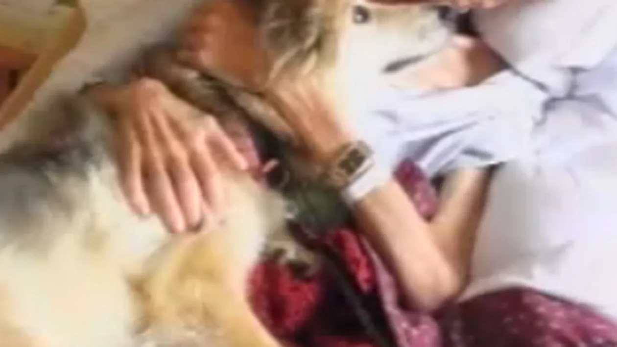 VIDEO Ultima dorinta a unui om pe patul de moarte: sa-si vada cainele credincios!
