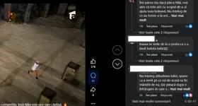 Galerie foto - poza 3