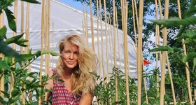 Galerie foto - poza 2