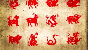 Horoscopul chinezesc pentru săptămâna 15-21 februarie. Gena Rusu, avertizări pentru nativii zodiilor Șarpe și Tigru
