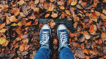 Horoscop zilnic 22 octombrie 2021. Leii dau cărțile pe față