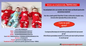 Galerie foto - poza 3