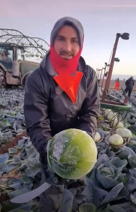 Român plecat la muncă în Anglia, mesaj dur pentru prieteni: “Aici lucrez prin gheață, frig, zăpadă… Stați cu mine aici ca să vă dau bere, de Crăciun, când mă întorc acasă?!”