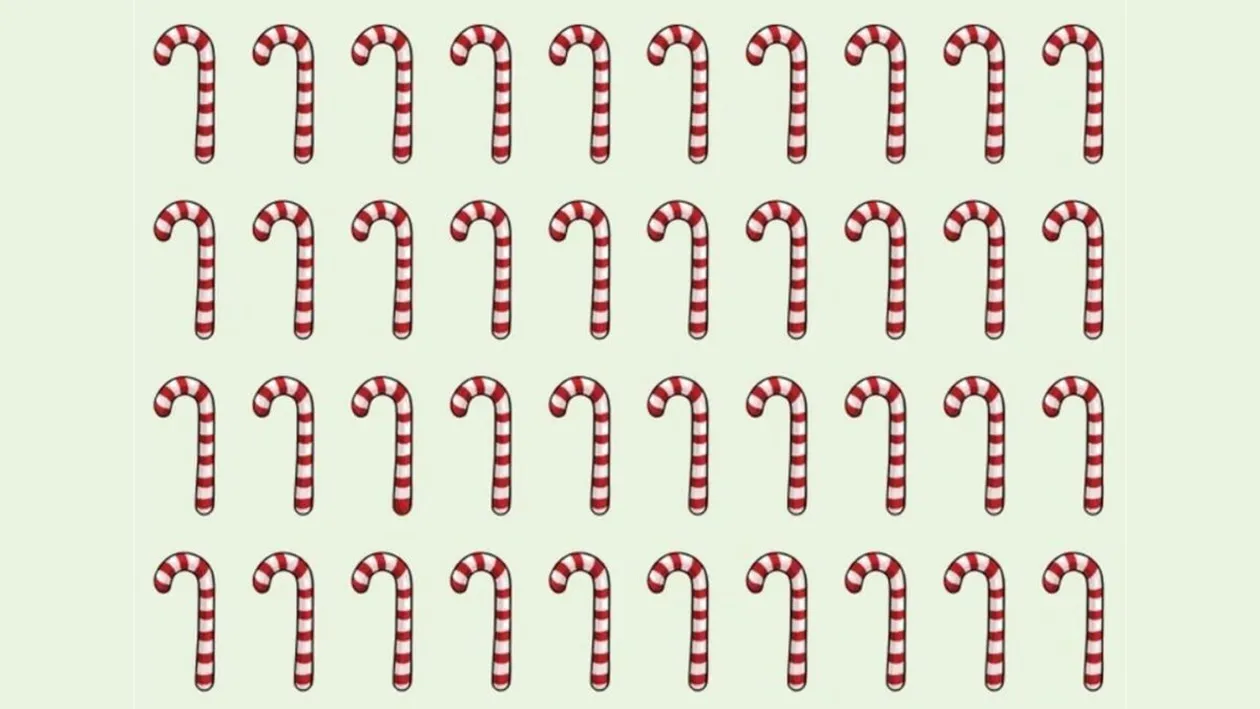 Test de perspicacitate | Care acadea de Crăciun este diferită de toate celelalte?