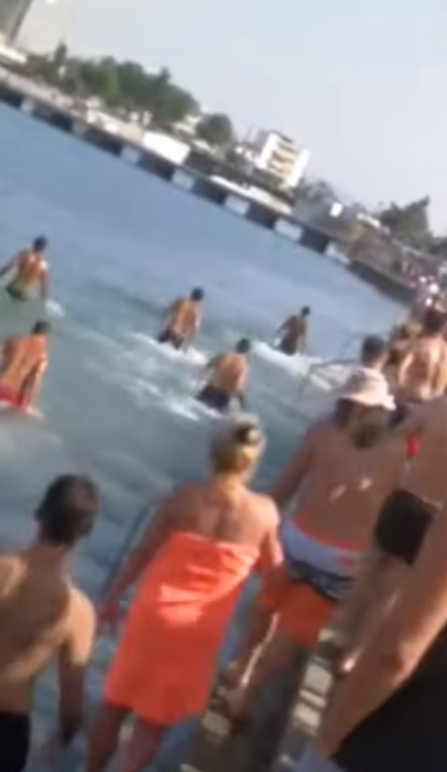 Scene revoltătoare pe o plajă cunoscută din Grecia. Mai mulți turişti au fost filmaţi în timp ce omorau un peşte-spadă cu pietre
