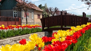 Localitatea din țara noastră care seamănă izbitor cu Olanda. Foarte puțini români au auzit de ea