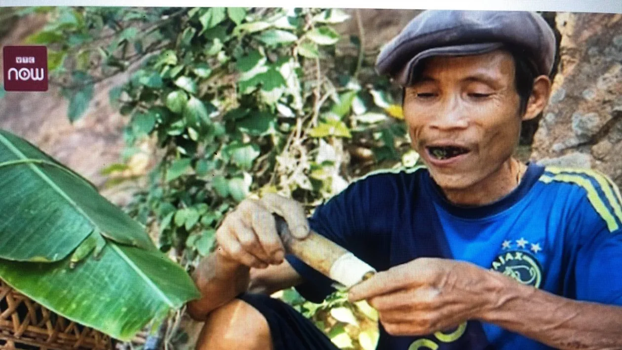 Un bărbat a trăit în junglă timp de 40 de ani. A murit la scurt timp după ce a revenit în civilizație