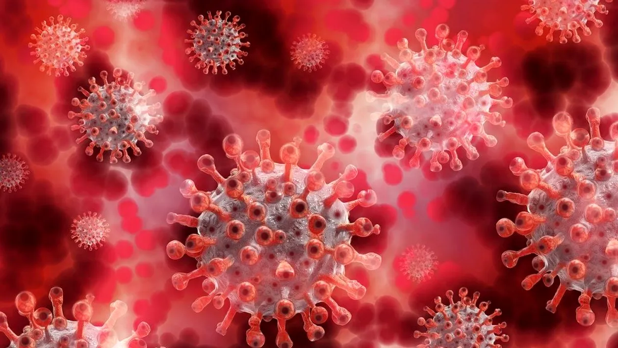 Primul test rapid pentru coronavirus produs în România, lansat pe piață