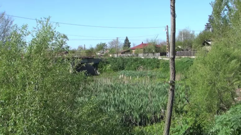 Cum arată casa din Teleorman în care a copilărit Gina Pistol. Și-a petrecut primii ani într-o gospodărie modestă