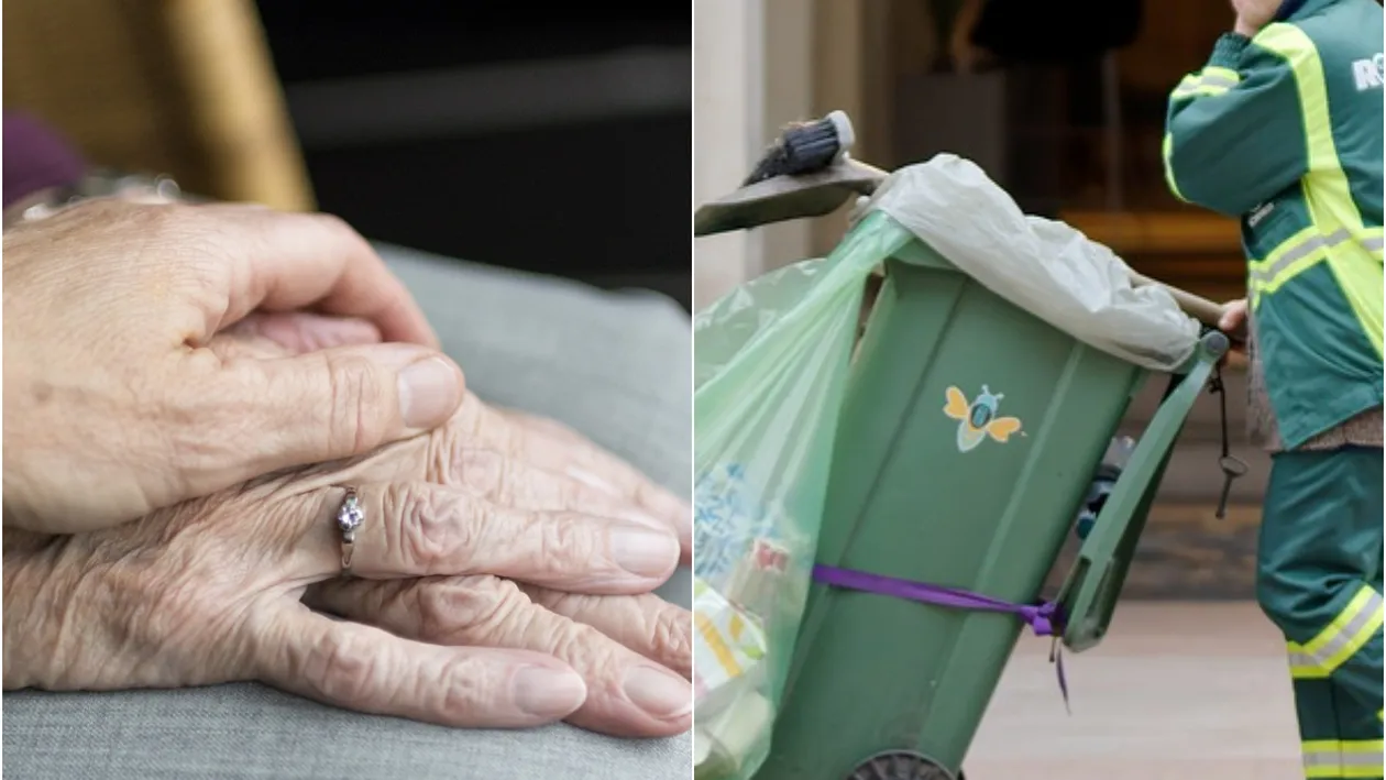 Scene de o cruzime absurdă la Baia Mare. O bătrână a fost bătută crunt de angajații de la salubritate