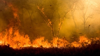 Incendiu de padure violent in estul Greciei