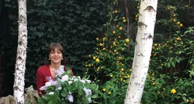 Galerie foto - poza 2