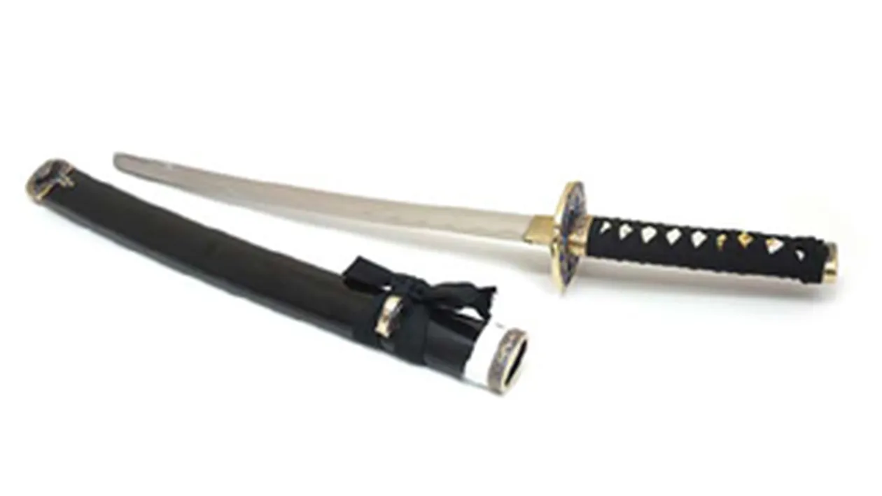 Un barbat a luat ostatici 20 de copii de la o gradinita din Franta