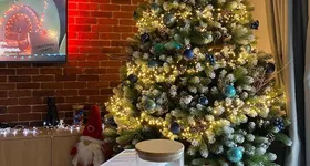 Galerie foto - poza 1