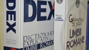 Vise sau visuri. Cum este corect?
