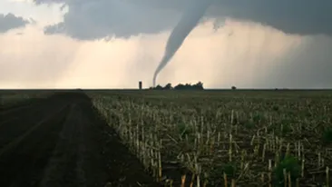 Peste 45 de persoane au fost ucise de tornade in Statele Unite
