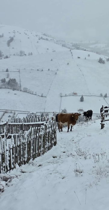 Sursa foto: Meteoplus