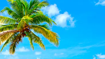 Autoritatile din sectorul 3 vor sa faca plaja in Bucuresti! Au investit 5,5 milioane de euro!