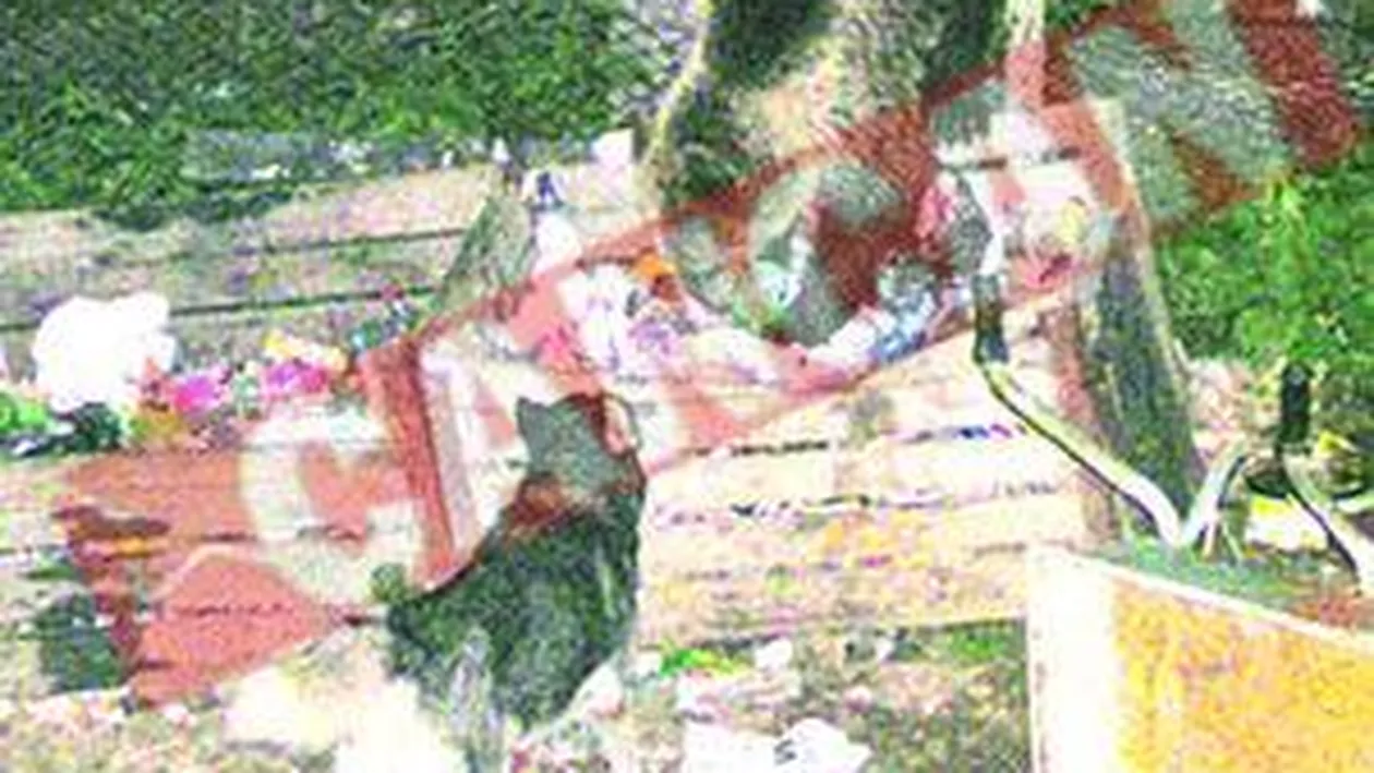 Turist german sfasiat de urs In Bucegi