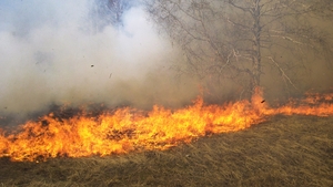 Incendiu puternic la Iași! Este afectată o suprafață de 50 de hectare de vegetație uscată, la mică distanță de locuințe