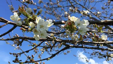 Prognoza meteo marți, 2 martie. Temperaturi extrem de plăcute și vreme de primăvară, în aproape toată România