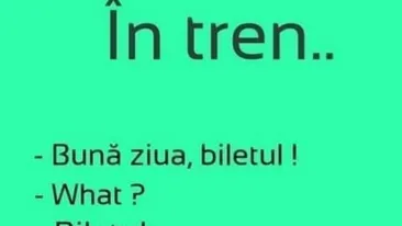 Bancul de weekend | În tren: Bună ziua, biletul!