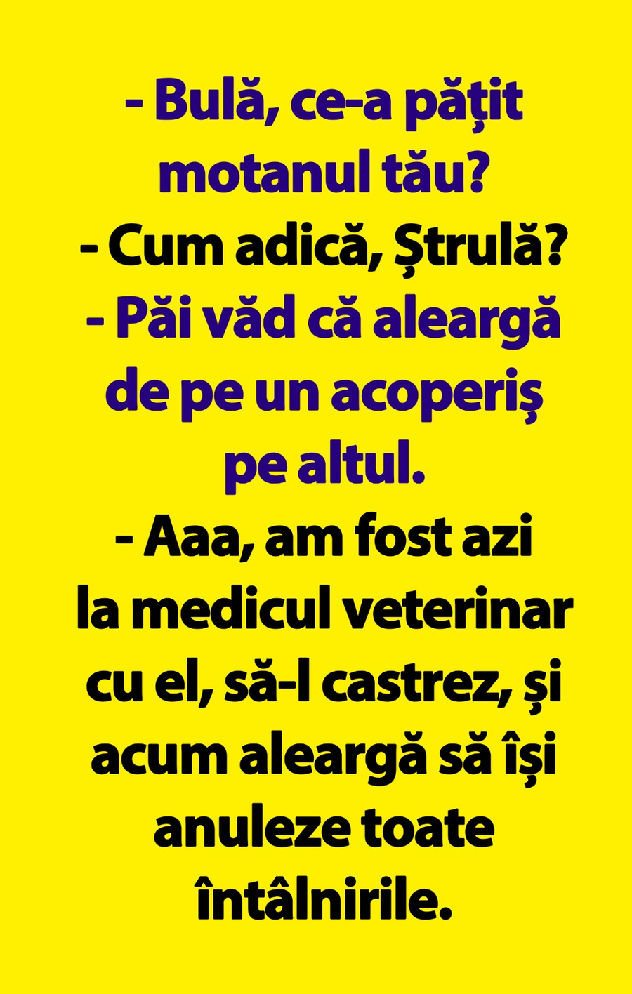 bula si strula banc