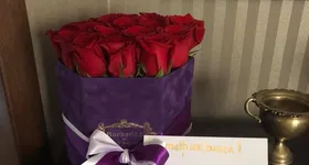 Galerie foto - poza 1