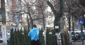 Galerie foto - poza 2