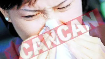 Variatiile de temperatura afecteaza organismul