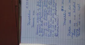 Galerie foto - poza 3